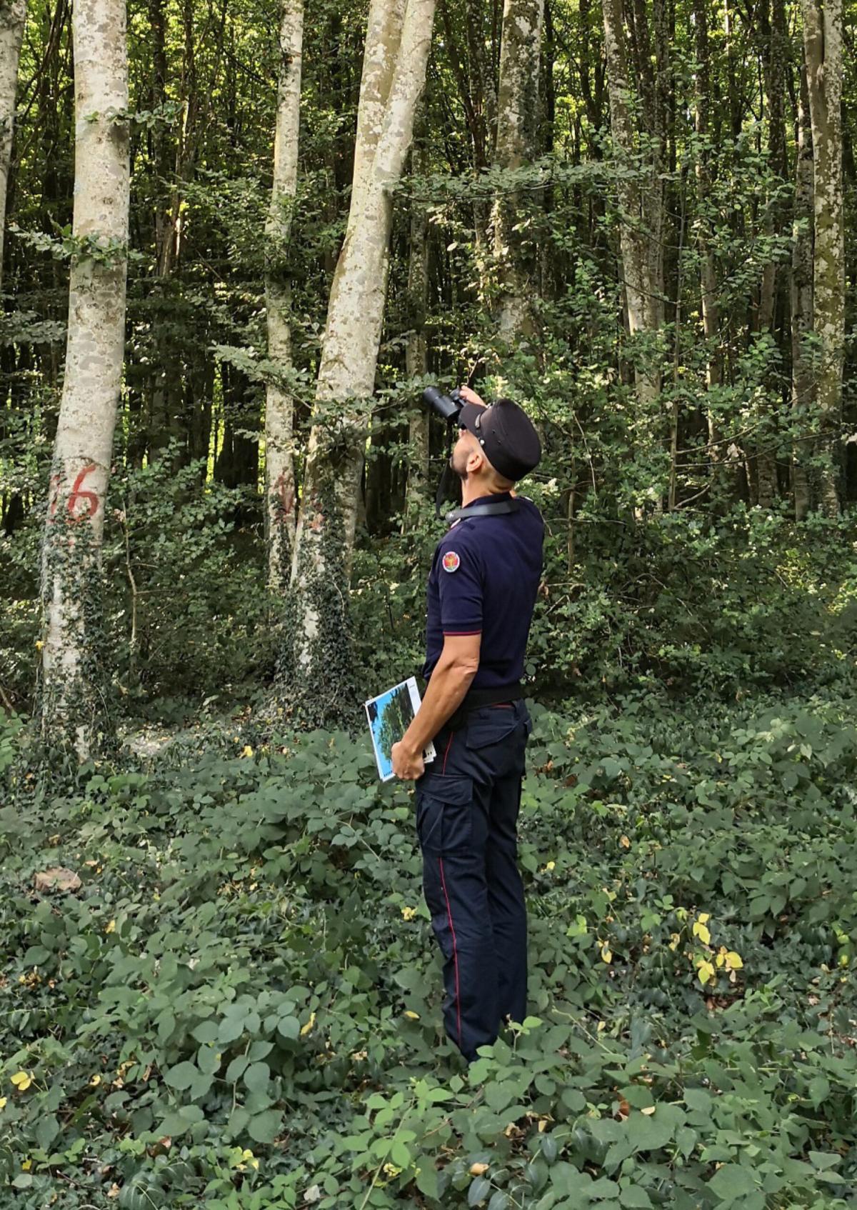 Spoleto, maxi operazione di controllo e  rastrellamento dei Carabinieri nei boschi