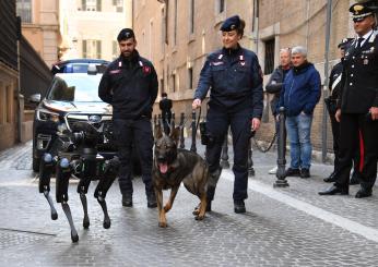 Bomba americana rinvenuta a Petrignano: ecco quando verrà fatta brillare