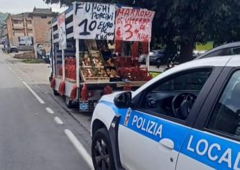 Orvieto, in giro a vendere funghi: 10 mila euro di multa a due ambulanti