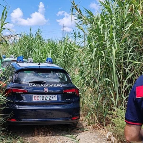 Panicale: sequestrati 17 cani maltrattati, in gravi e deplorevoli condizioni igienico-sanitarie