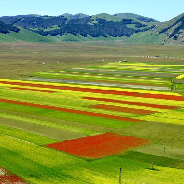 Stanziati 10 milioni per la ricostruzione di Castelluccio dopo il sisma del 2016