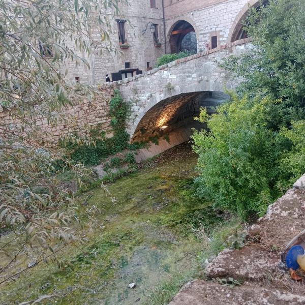 Odore nauseabondo lungo il torrente Camignano, protesta dei cittadini