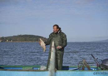 La pesca tradizionale del Trasimeno diventa presìdio SlowFood