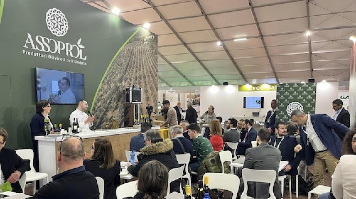 Assoprol Umbria dell’olio protagonista al “SOL International Olive Oil Trade Show”