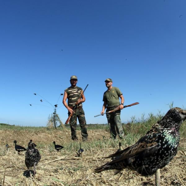 Caccia, in Umbria la preapertura è senza tortora