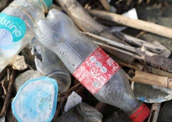 Ricerca all’Università di Perugia: sostituire la plastica con le trebbie della birra