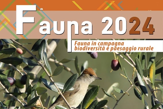 Fauna 2024: a Spoleto tre giorni sulla biodiversità e paesaggio rurale