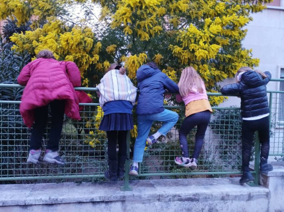 Nasce a Foligno, tra i banchi di scuola, la cover ecosostenibile: ecco di cosa si tratta 