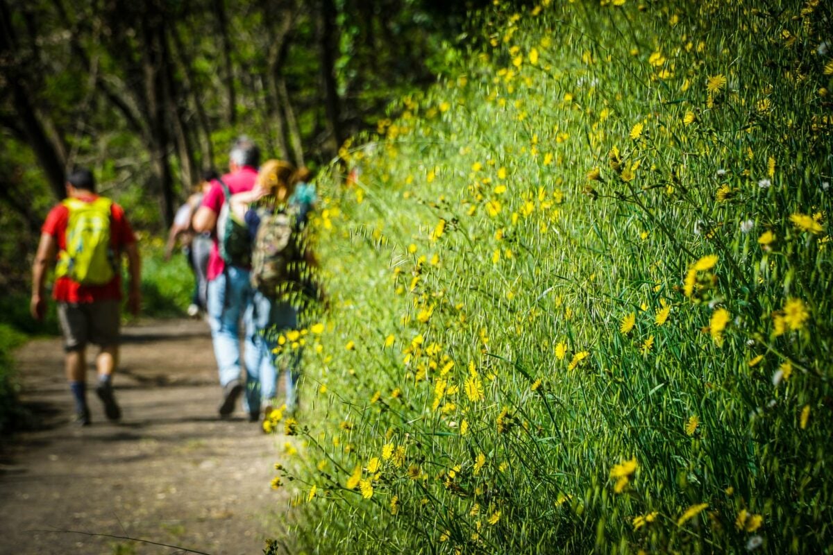 Terni, Consiglio Comunale: riqualificare il centro e gestire i sentieri