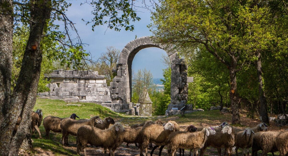 Paola Agabiti, 4 milioni per la Cultura in Umbria