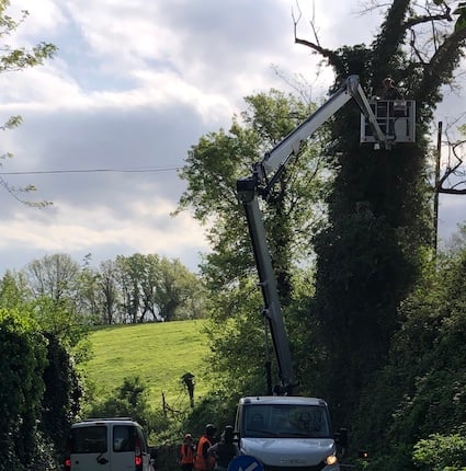 Vicenda abbattimento alberi protetti, 12 querce, nel tratto viario di Casaglia in virtù del passaggio del Giro D’Italia