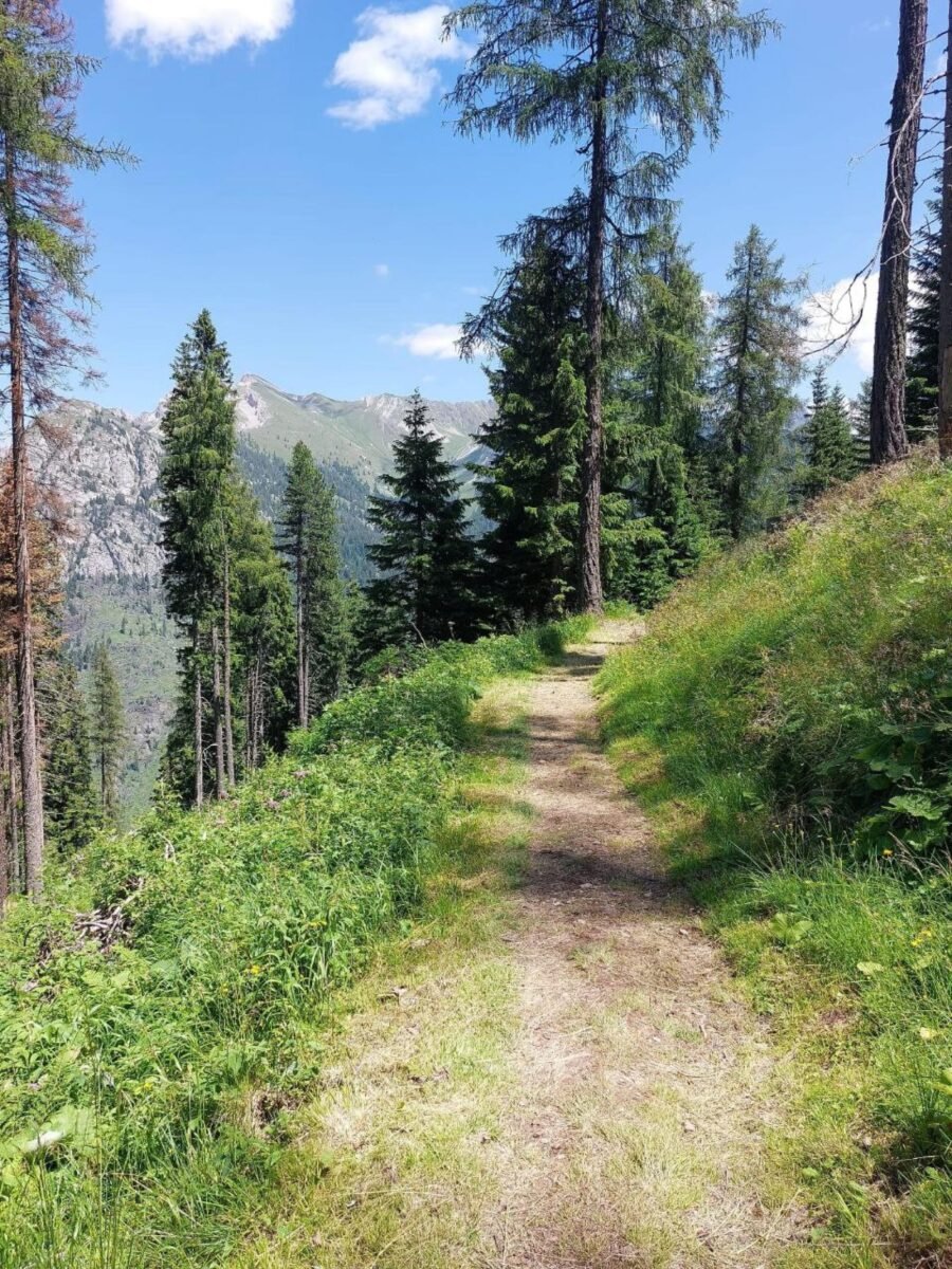 Foligno, Parco dell'Altolina si rinnova grazie ai fondi del Psr: una culla di biodiversità