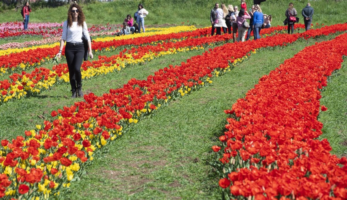 TuliPark di Spoleto: un tuffo nei colori della terza edizione