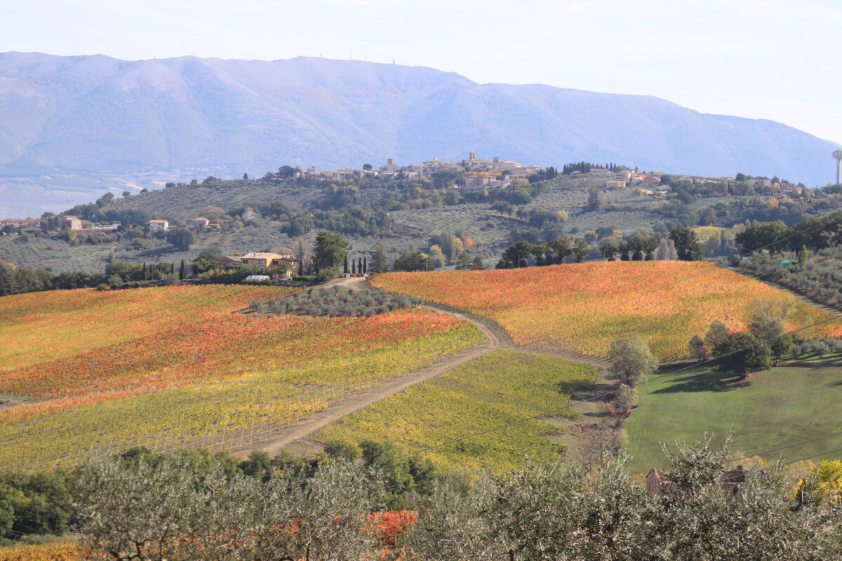 L'Umbria è la regione italiana preferita dai turisti: in aumento i numeri delle visite