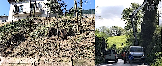 vicenda abbattimento alberi protetti, 12 querce, nel tratto viario di Casaglia in virtù del passaggio del Giro D’Italia.