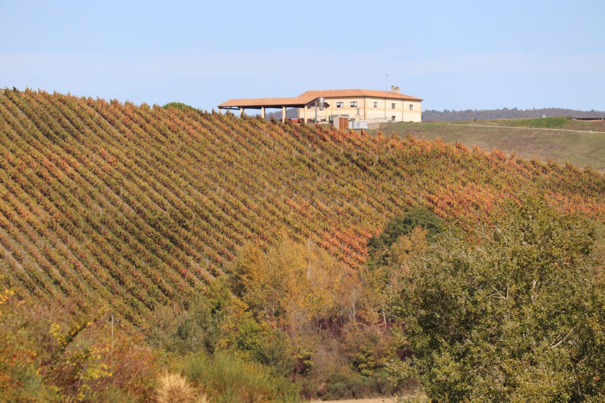 A Montefalco apre il Museo del Sagrantino