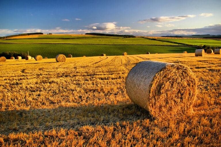 Coldiretti Umbria: agricoltura settore trainante dell'economia ma servono aiuti alle imprese