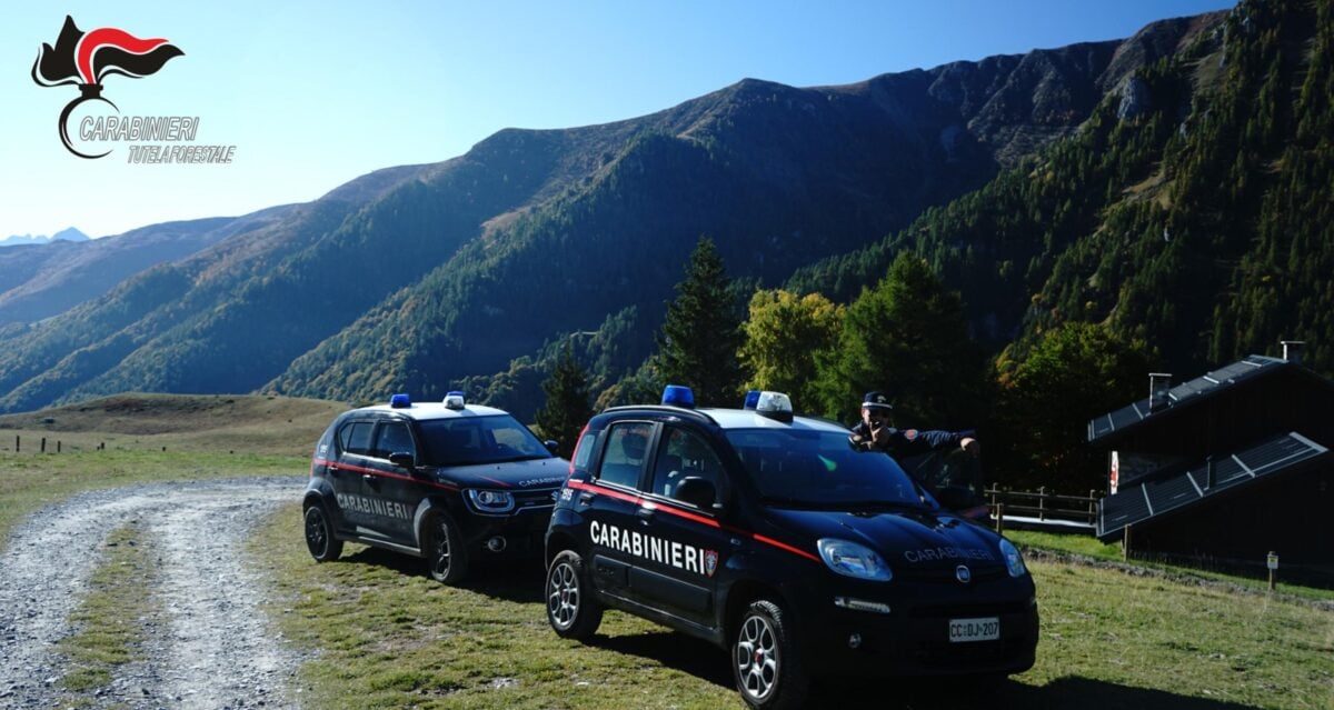 Irregolarità rilevate dai Carabinieri Forestali nell'operato di un'azienda nel Comune di Fossato di Vico. Portate alla luce diverse violazioni paesaggistiche