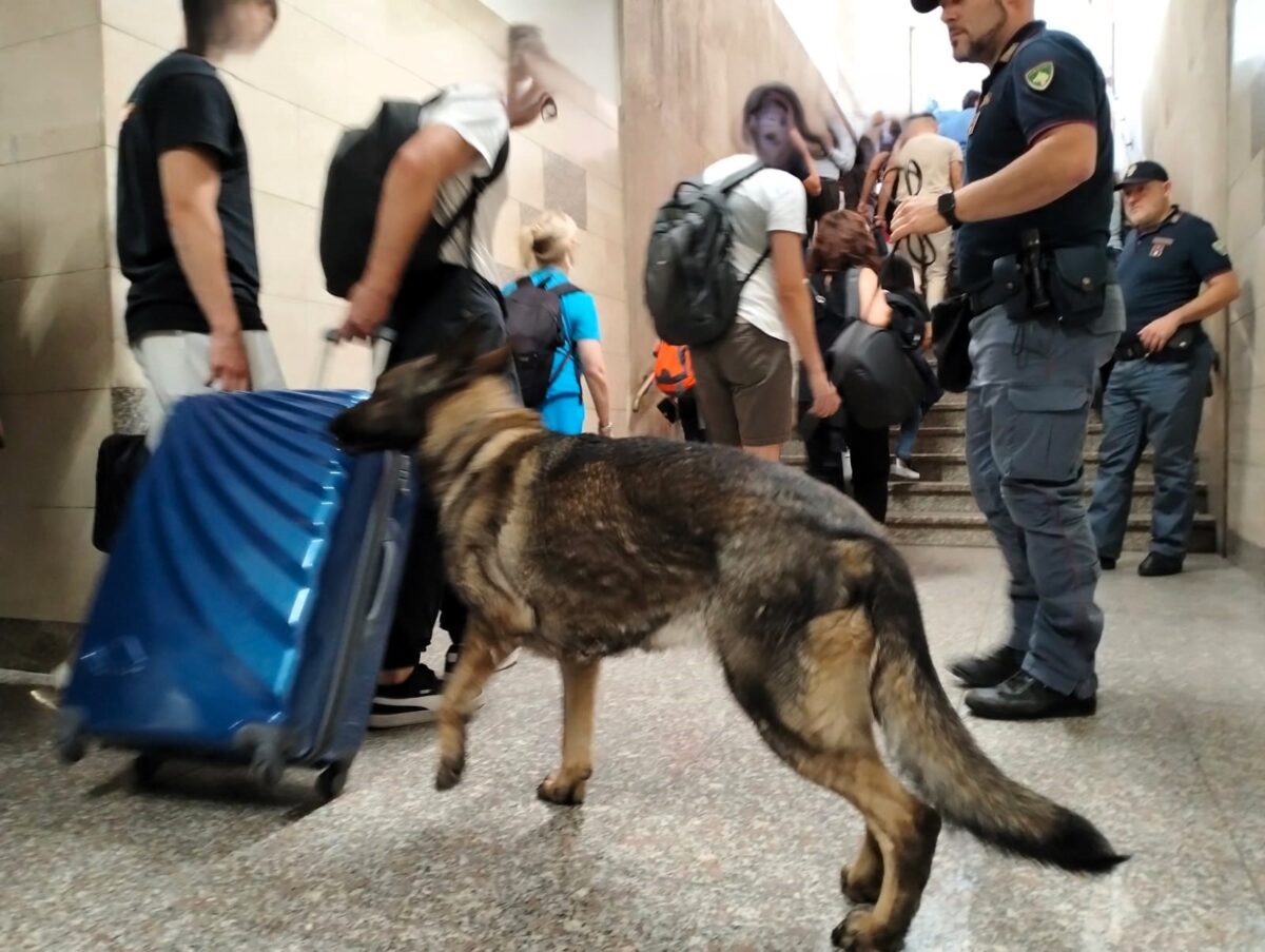 Il nuovo questore di Terni dichiara guerra allo spaccio di droga. Controlli nei parchi e in stazione anche con i cani poliziotto