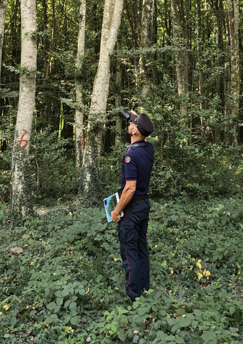 Spoleto, maxi operazione di controllo e  rastrellamento dei Carabinieri nei boschi