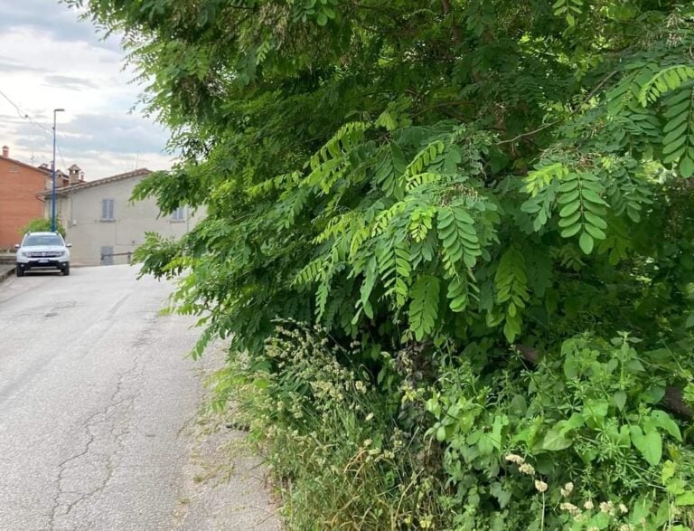 Via del Molino a Gubbio abbandonata al degrado, mentre Via della Vittorina è invasa dalla polvere del cantiere stradale. La protesta dei residenti