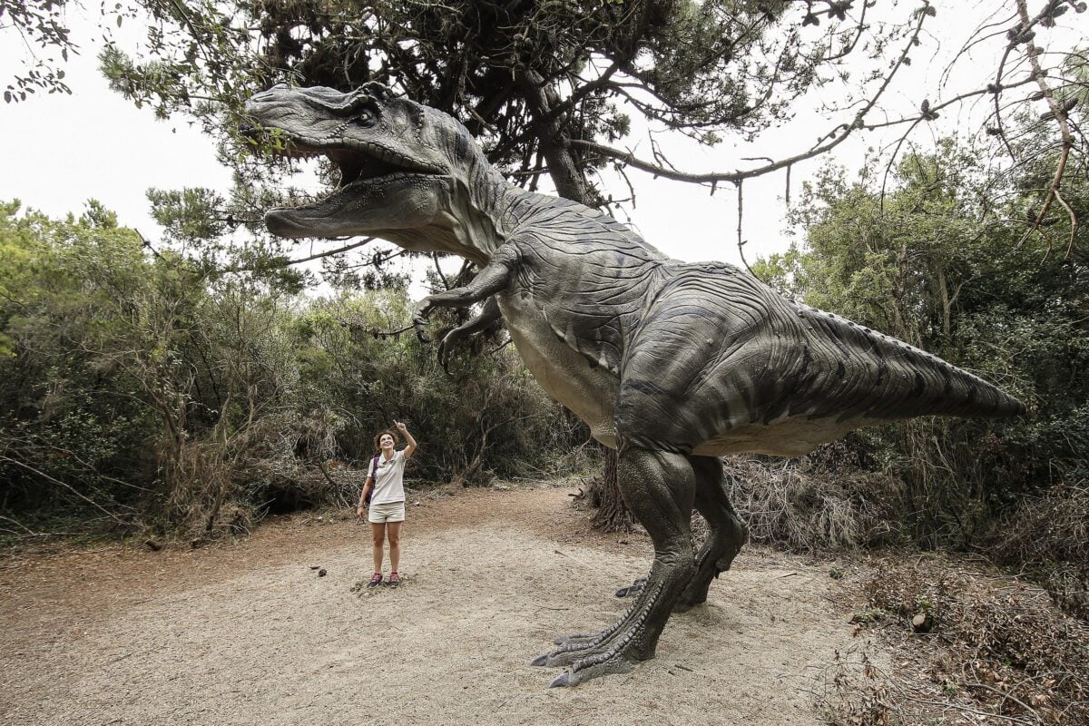 "Extinction: prima e dopo la scomparsa dei dinosauri", una mostra unica nel cuore di Gubbio