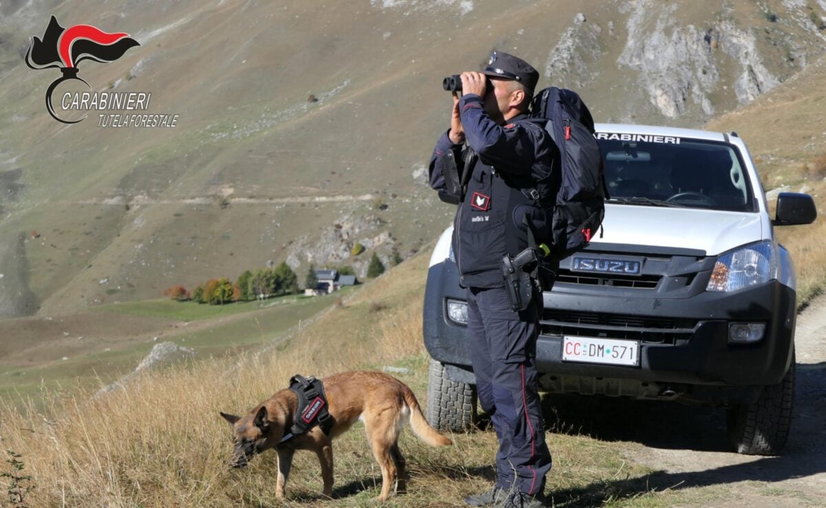 Carabinieri Forestali scoprono frode edilizia sulle colline del Trasimeno