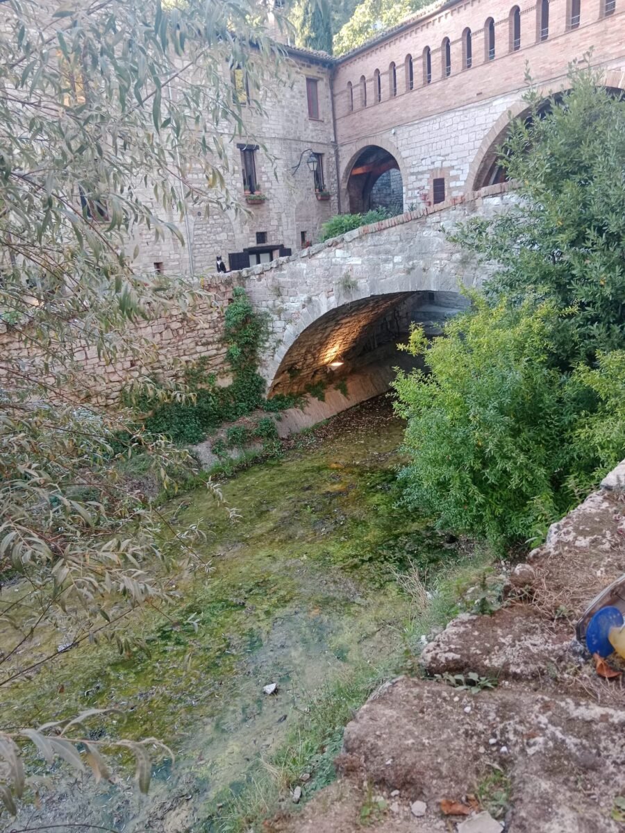 Odore nauseabondo lungo il torrente Camignano, protesta dei cittadini