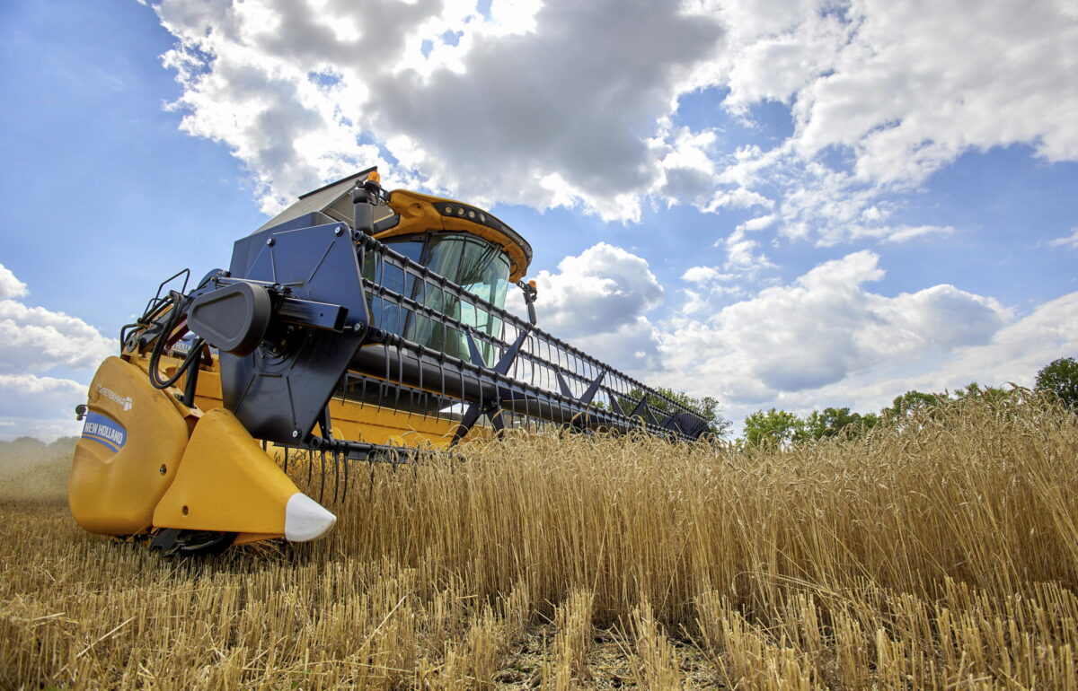 Agricoltura, qualità ok per il grano umbro ma allarme Coldiretti su costi e prezzi