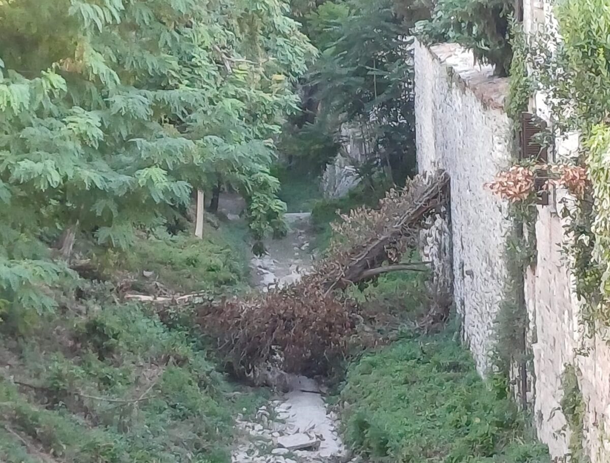 Il torrente Camignano a Gubbio invaso da topi, immondizia e carcasse di animali