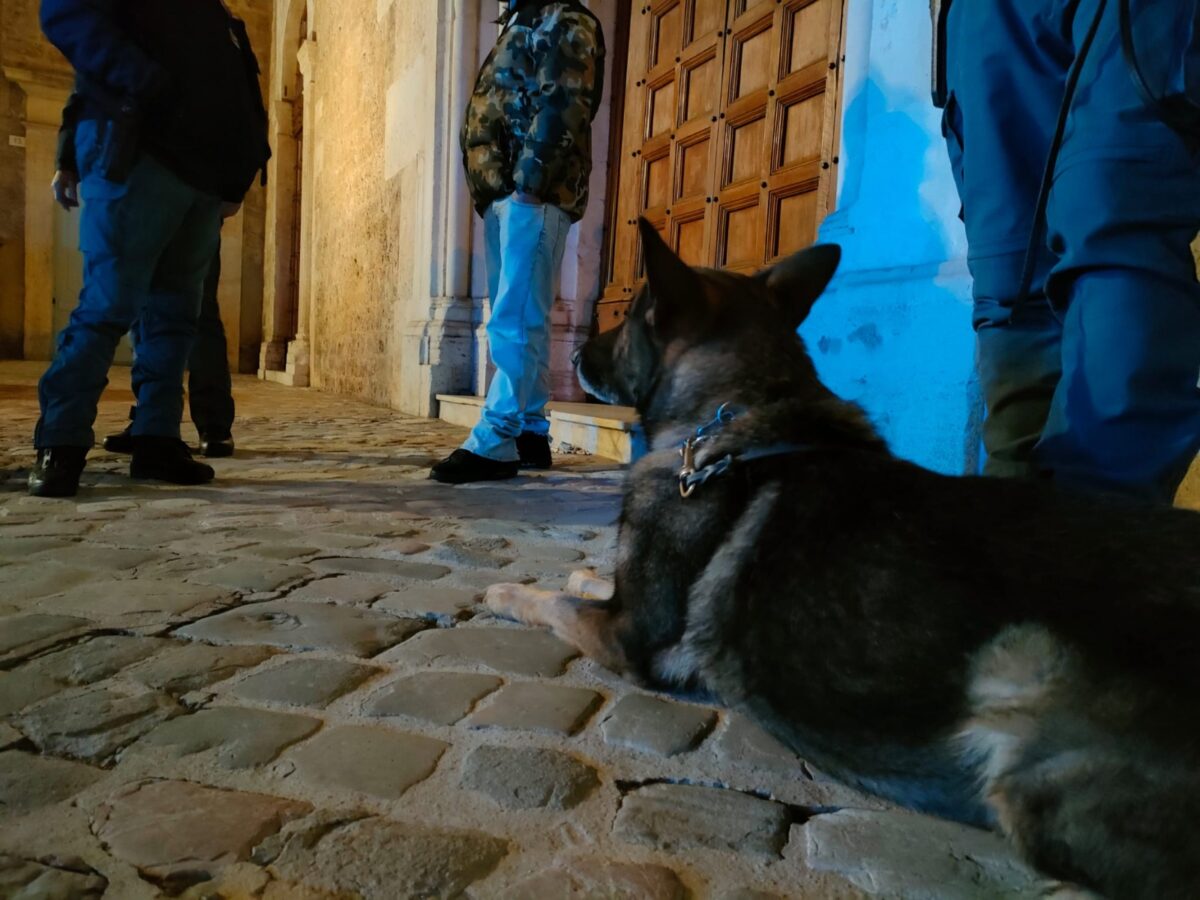 Terni, il cane poliziotto Ayrtion fiuta cannabis in largo Ottaviani