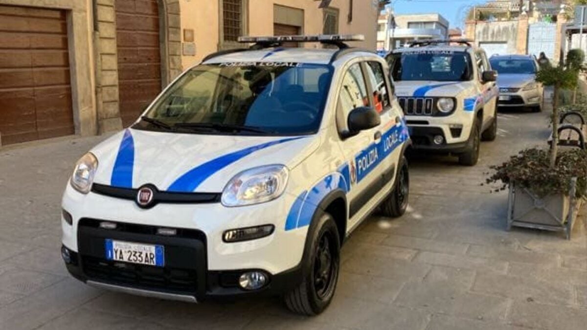 Città di Castello, investe cane e scappa: denunciato per "uccisione di animali"