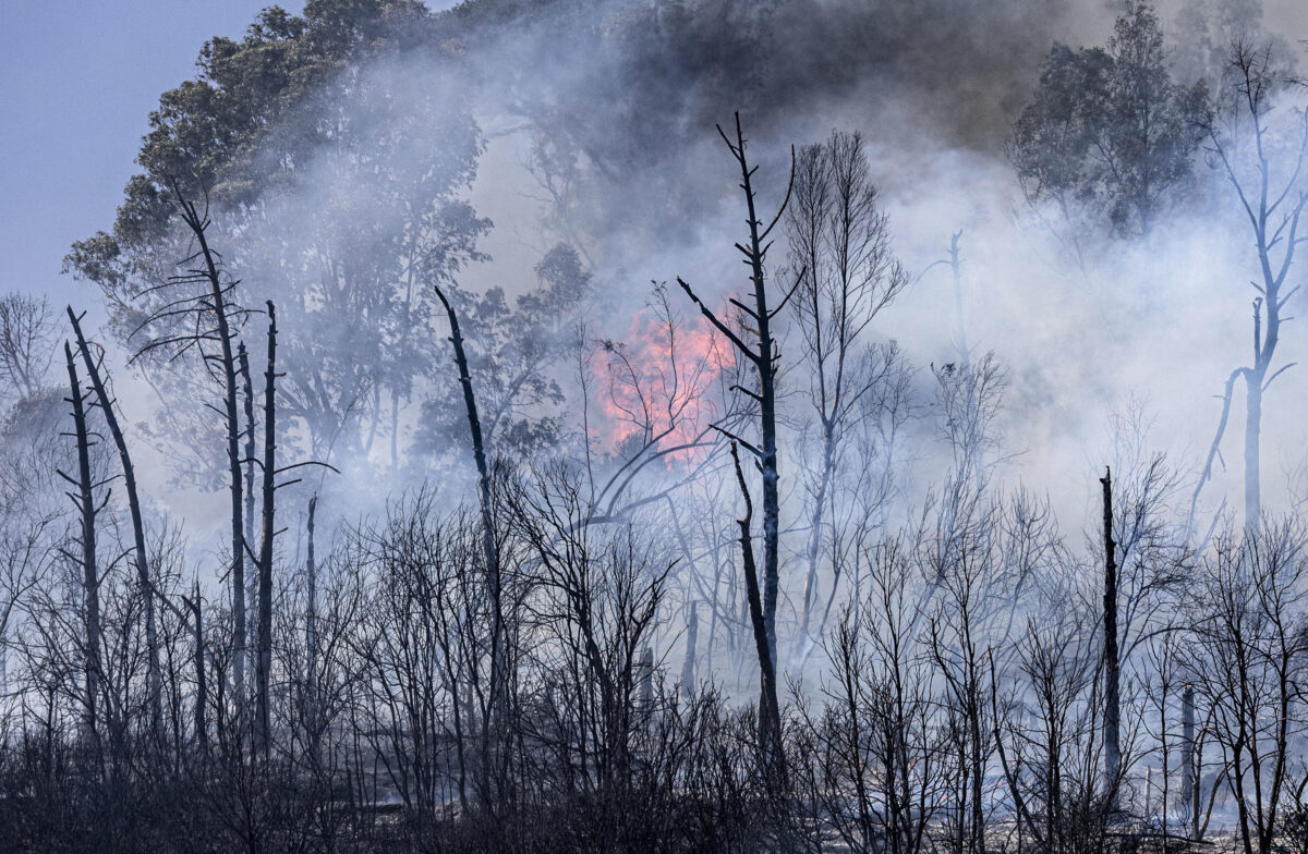 Incendio a Narni: fiamme tra Nera Montoro e San Liberato