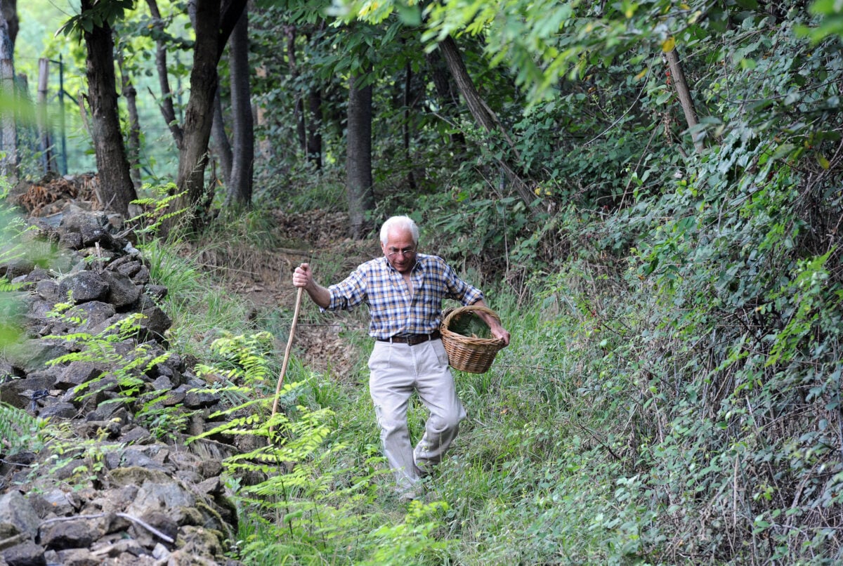 Gubbio, coppia di anziani si perde nel bosco: messi in salvo dopo ore