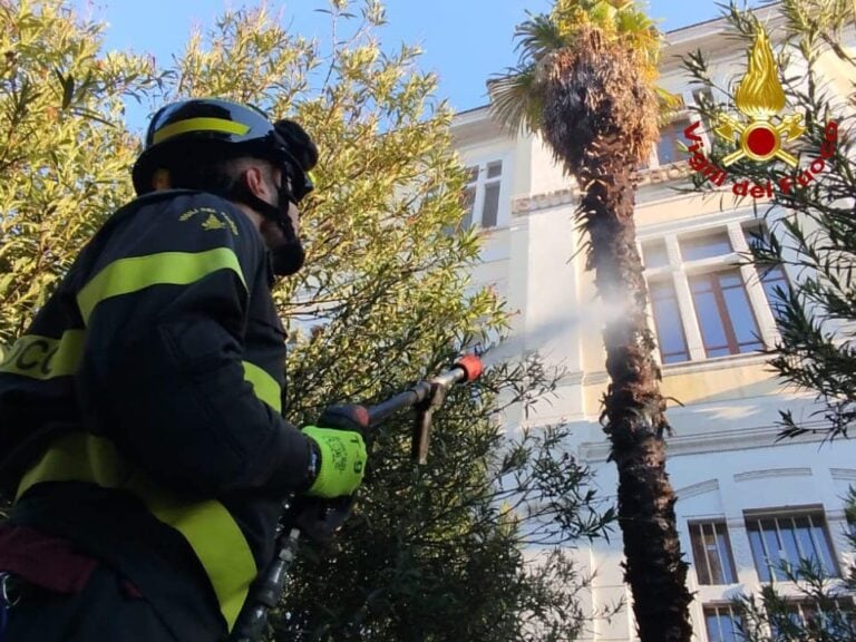 Mattinata movimentata a Terni: Ipsia in fiamme e Piazza dell'Olmo senza olmo