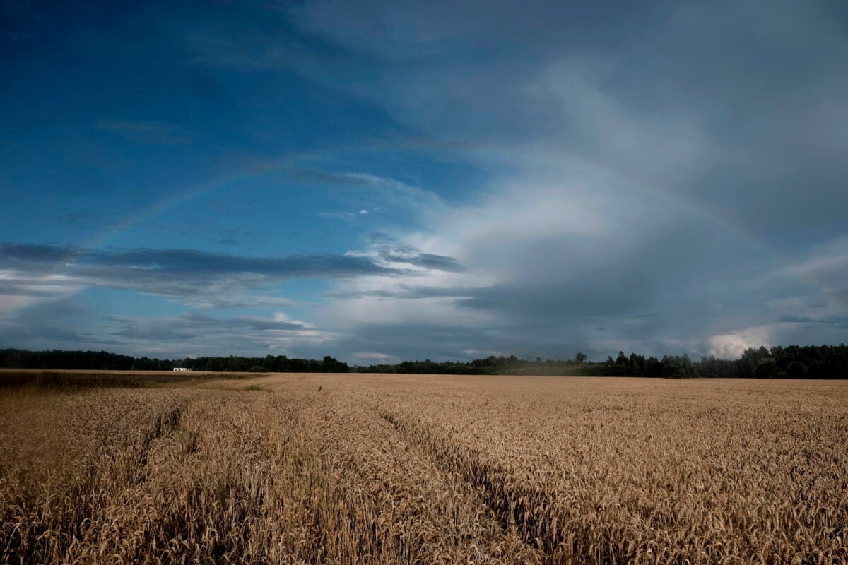 Meteo Umbria: nubi sparse e temperature miti per il fine settimana del 12-13 ottobre