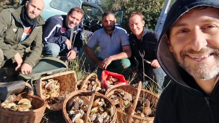 Raccolti mille funghi in Umbria da un gruppo di amici: sui social pretendono la denuncia