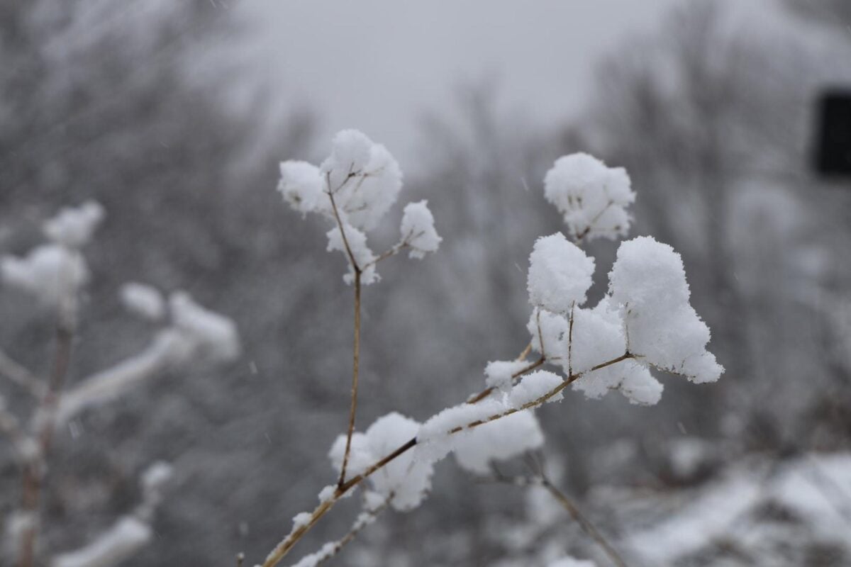 Il meteo di Natale in Umbria: gelo, vento e un po' di sole. Neve anche in collina