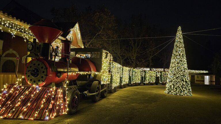 Città della Domenica: aperture straordinarie dopo il successo del Parco di Natale