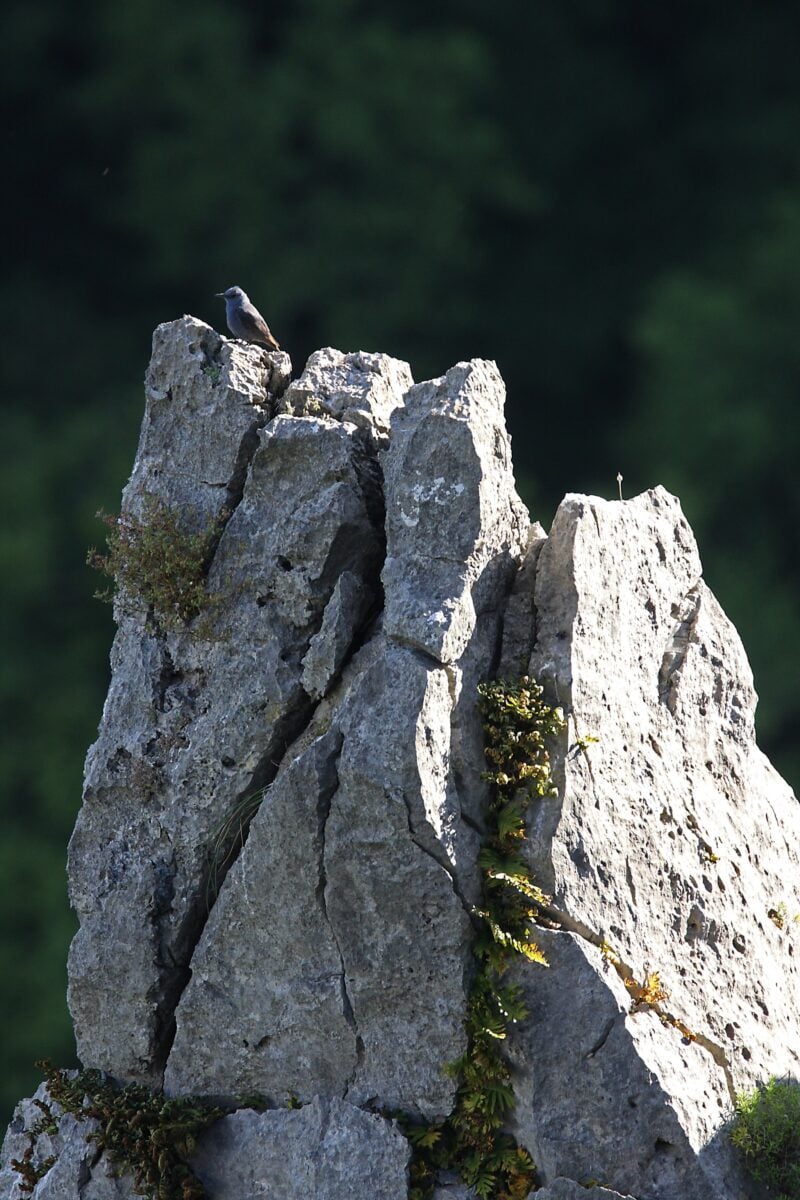 Le Gole del Nera: storia, caratteristiche e leggende di una delle più affascinanti meraviglie naturali dell'Umbria