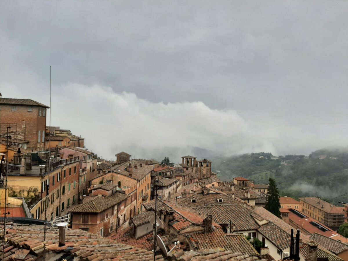 Perugia, abbattuto l'antico abete di Piazza Italia a rischio cedimento