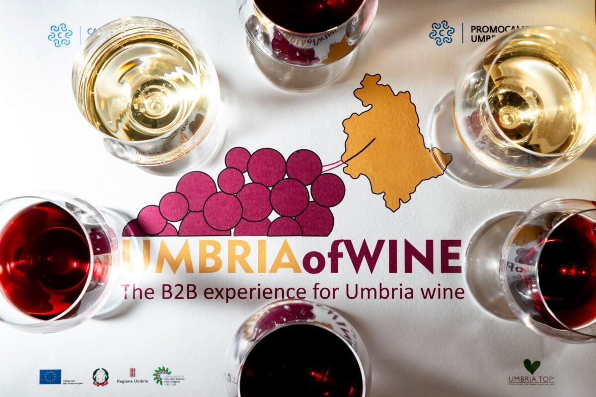 Umbria of Wine 2025: un’edizione da record per i vini umbri